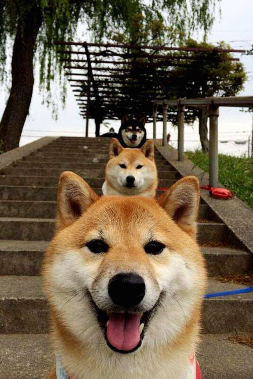 中国足球传控比例变化趋势图，足球传控训练