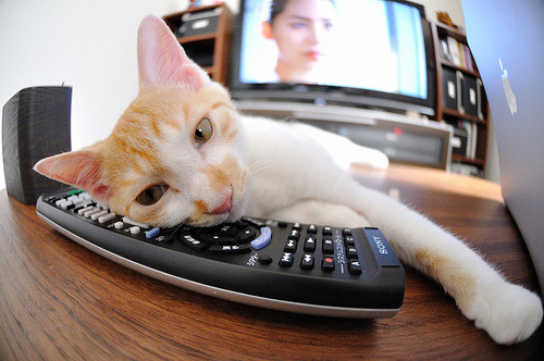 新闻中心智能终端新系列亮相展会,智能新闻传播方向是什么