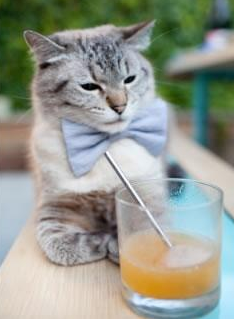 华体会app注册-每周最火：球迷热议的比赛瞬间和高光集锦，足球比赛高光时刻