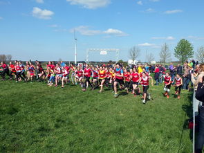 华体会登录-青少年体育活动参与动力分析，青少年的体育活动