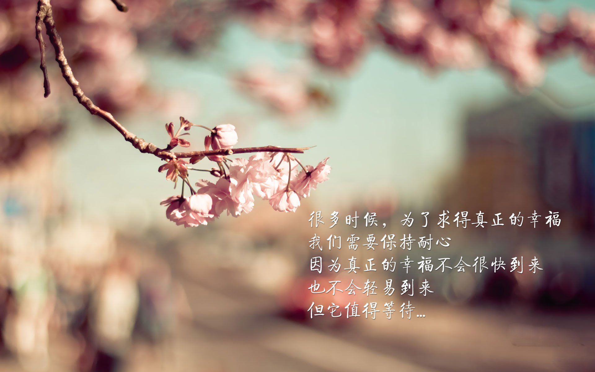 高校运动训练数据可视化分析技术研究,高校运动训练数据可视化分析技术研究报告