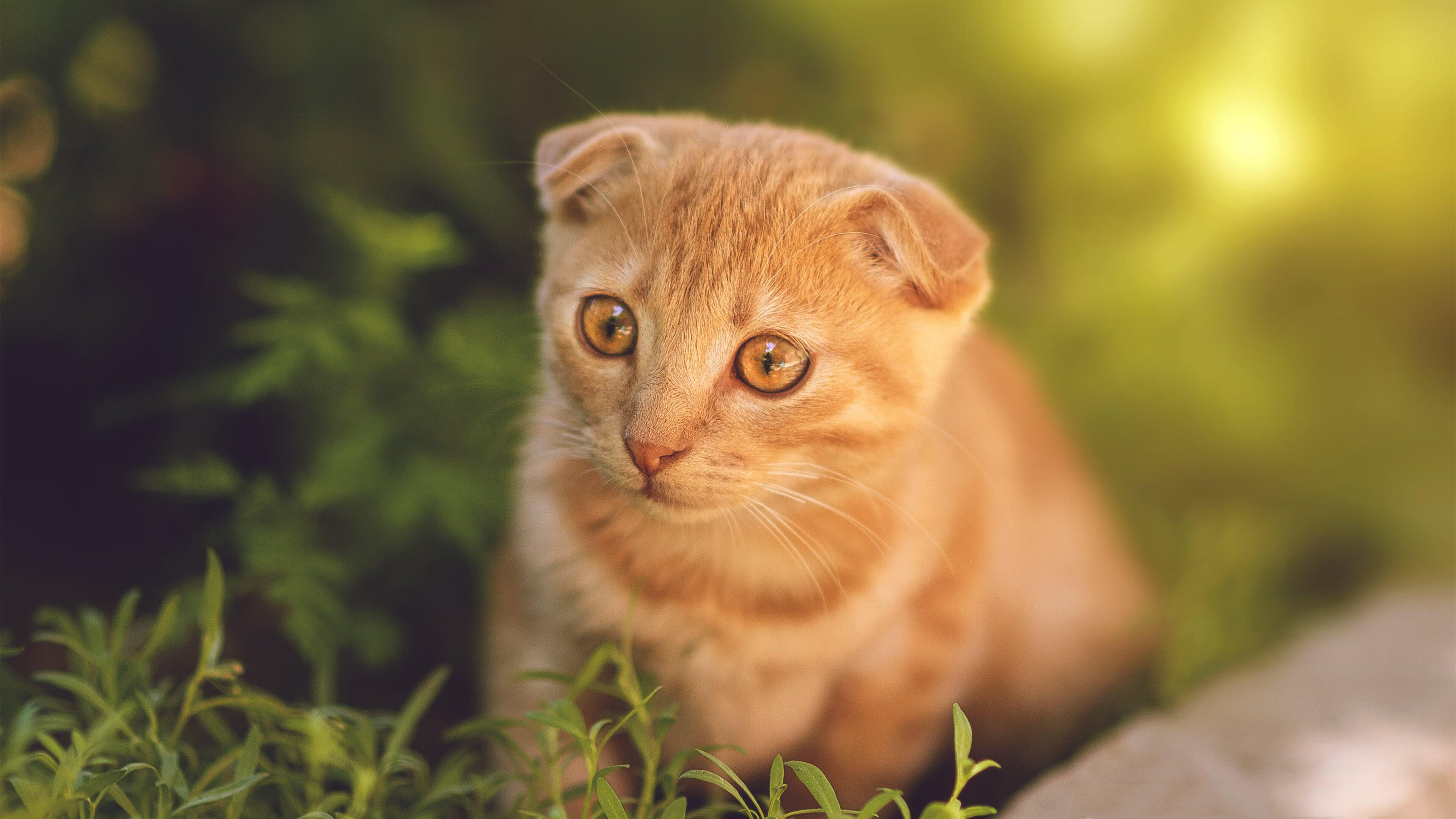 世界杯预选赛中国青年队战败 球迷分析战术漏洞,世界杯预选赛中国队打平