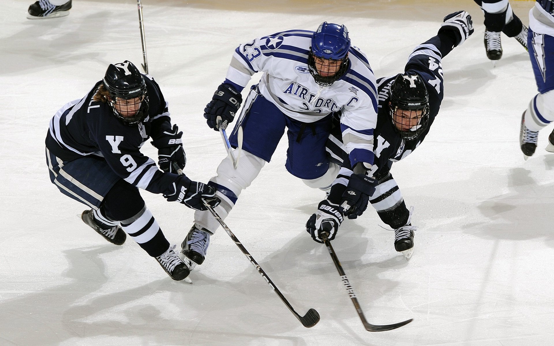 体育新闻中心完善运动员赛事信息采集系统,体育比赛新闻报道范文