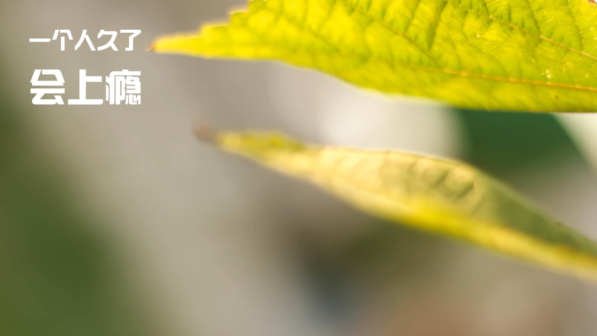 奥运村建设保障设施升级,奥运村建设保障设施升级方案