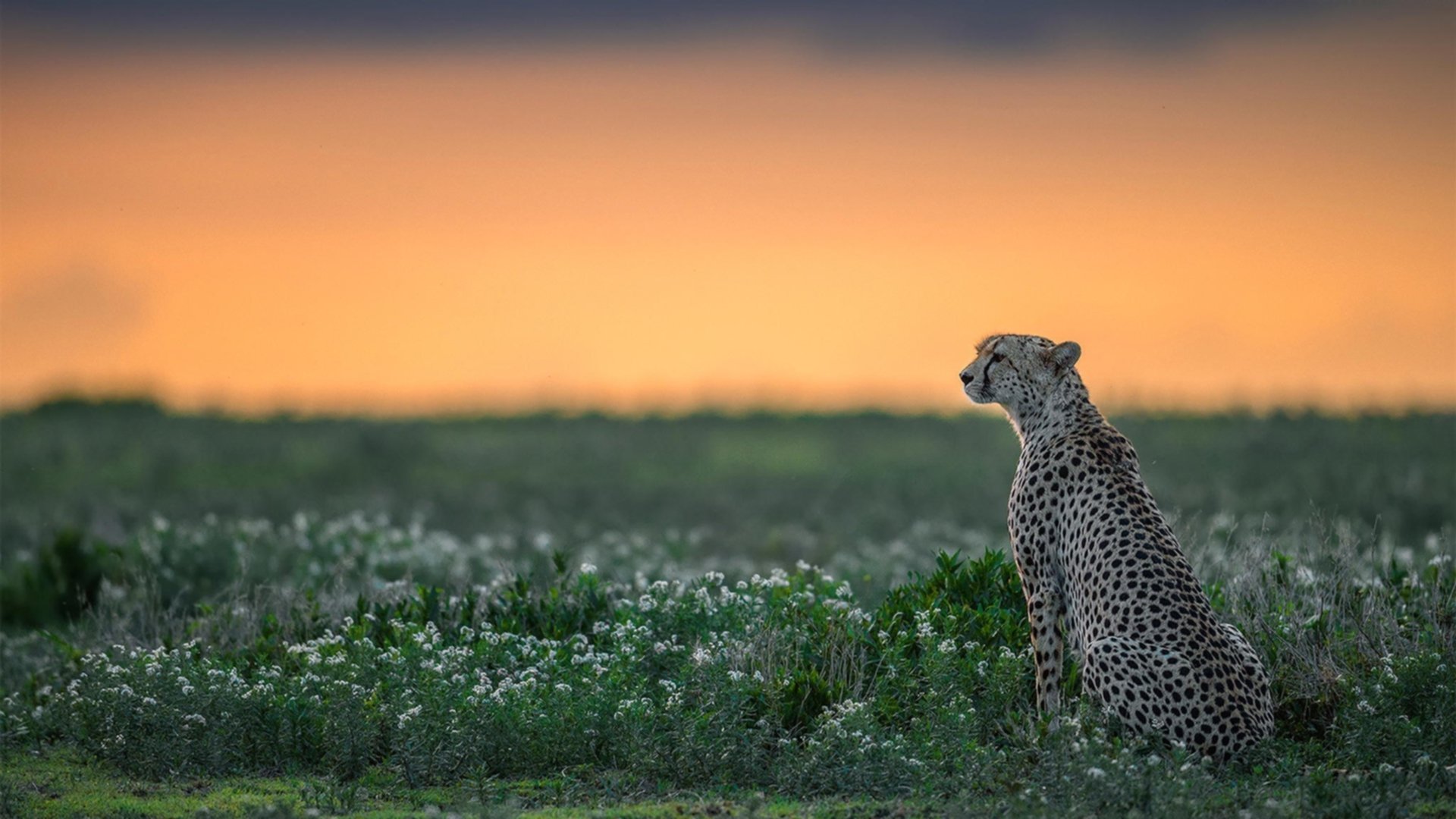 德国队后程冲刺略逊 仍具潜力,德国队can