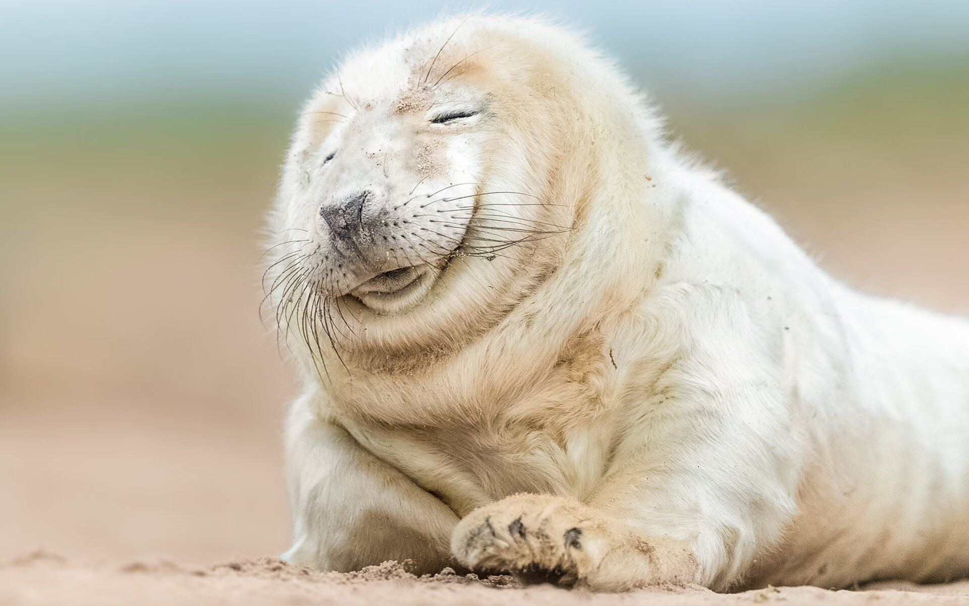 华体会手机在线-波兰队在国际乒联混合团体世界杯中的优异成绩揭晓，波兰 乒乓球