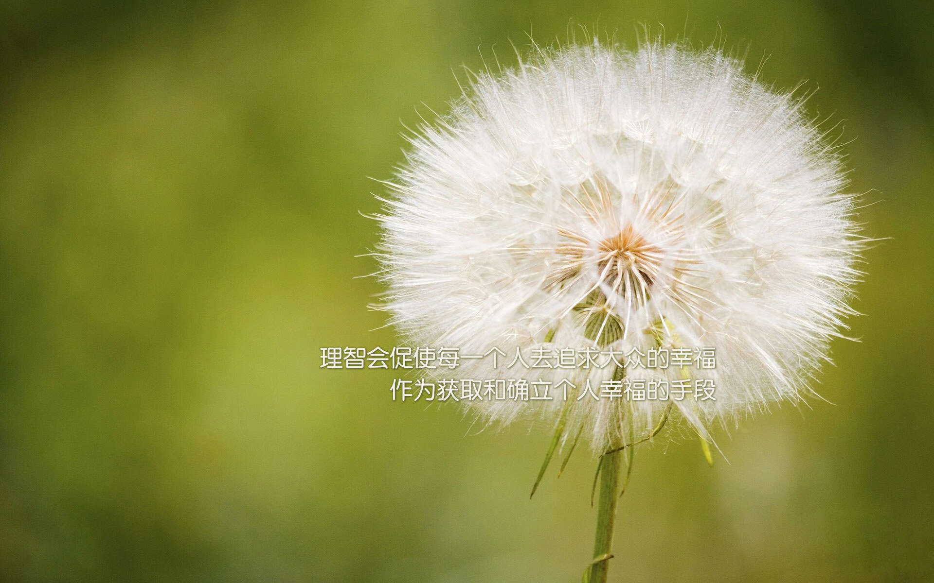 哈伦稳扎稳打锁定决赛席位,什么叫哈伦版型