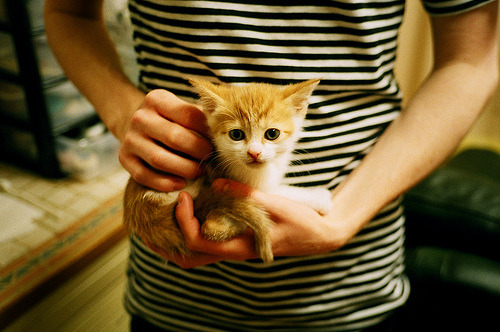 蝶泳滑行时间占比增长，为成绩添翼，蝶泳划水路线