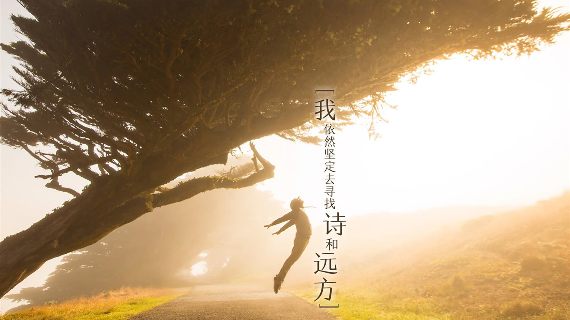 华体会登录-足球与乡村振兴相结合带动文化与经济双丰收，足球文化建设与体教融合