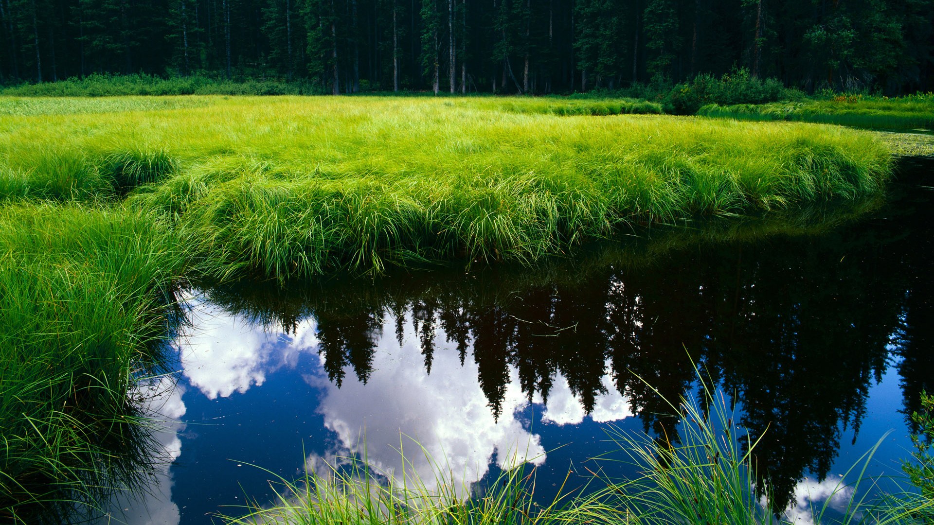 华体会平台-跳水赛场希腊稳健收官，希腊跳远夺冠
