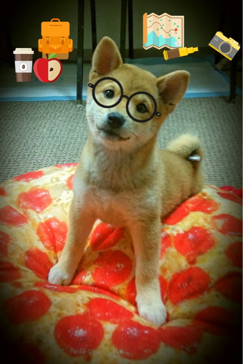 青训球员职业认知课程纳入周训计划加强规划意识，青训球员的定义