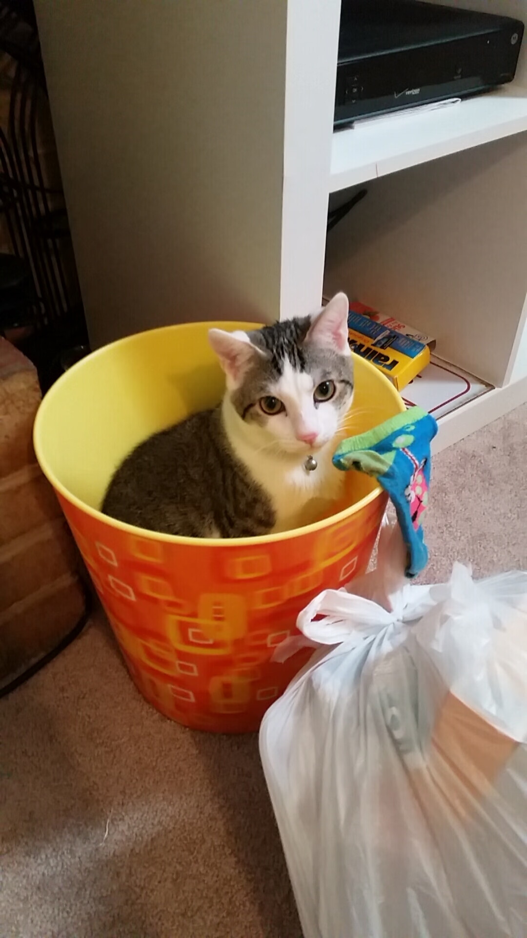 Jones 技术全面，是球队多面手，jones球员