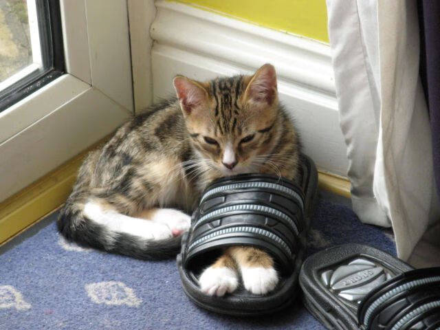 体育主题快闪活动在城市地标成功举办，快乐体育运动会口号